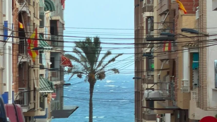 Apartment de 1 chambre à Torrevieja, Espagne No. 2647 № 23
