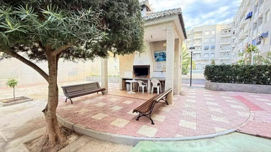 Apartment de 1 chambre à Torrevieja, Espagne No. 2565 № 1