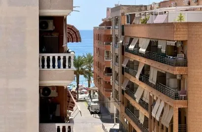Apartment de 1 chambre à Torrevieja, Espagne No. 2573