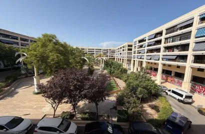 Apartment de 3 chambres à Guardamar del Segura, Espagne No. 2572