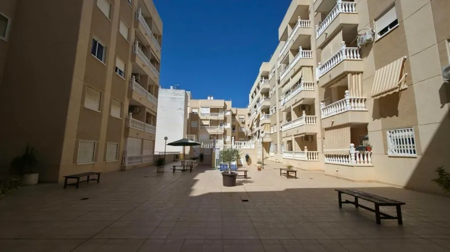 Apartment de 3 chambres à Torrevieja, Espagne No. 2558 № 2