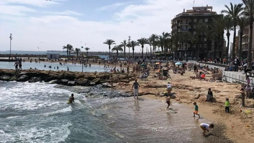 Apartment de 1 chambre à Torrevieja, Espagne No. 2529 № 3