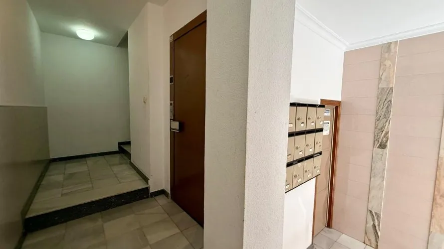 Apartment de 1 chambre à Torrevieja, Espagne No. 2573 № 4
