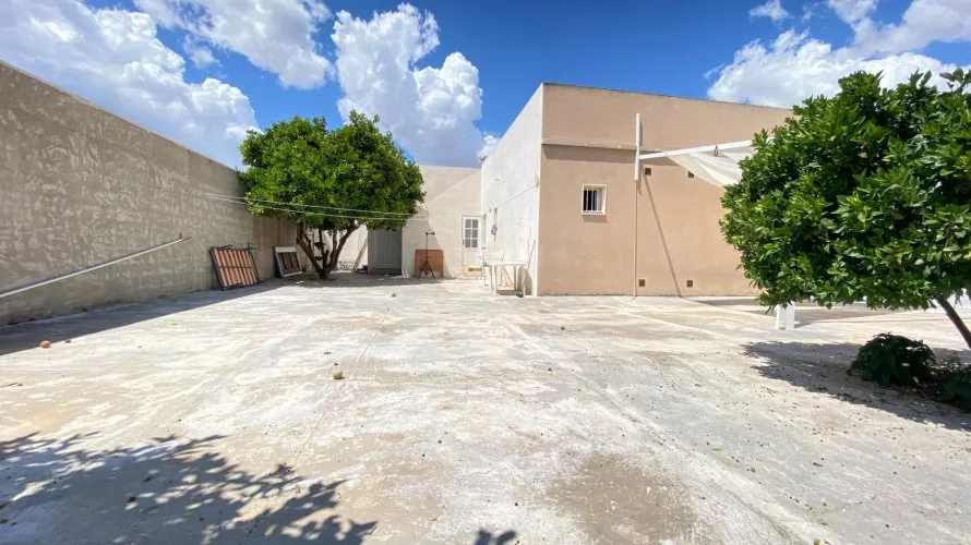 Apartment de 3 chambres à Torrevieja, Espagne No. 2577 № 25