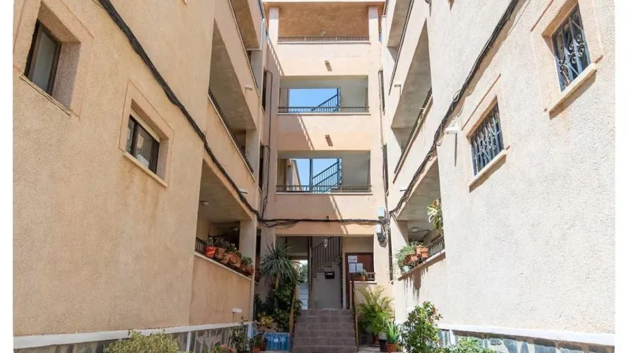 Apartment de 25m² à Torrevieja, Espagne No. 2539 № 14