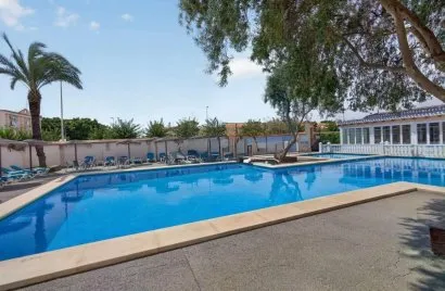 Apartment de 2 chambres à Pilar de la Horadada, Espagne No. 2760