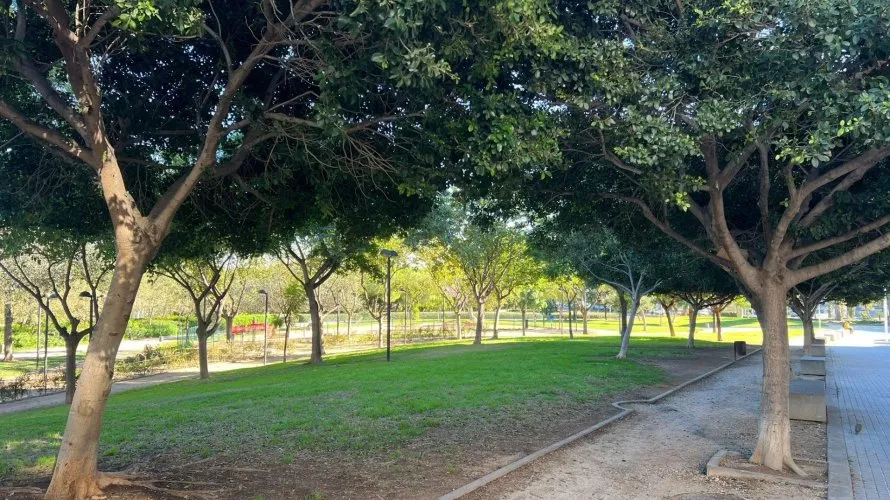 Квартира с 1 спальней в Мислата, Испания №1747 № 19