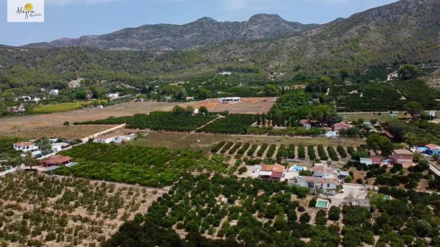 Квартира 400м² в Альзира, Испания №1813 № 5