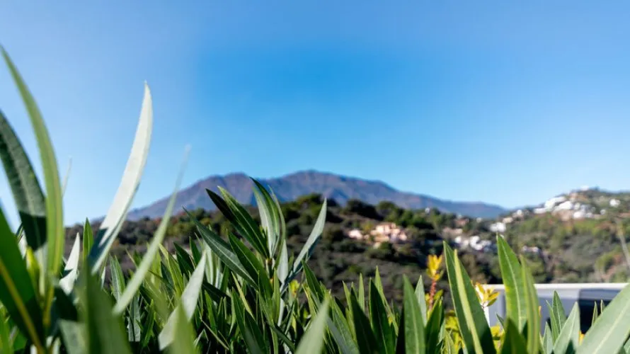 4 bedrooms apartment for sale , Estepona, Spain No. 302 № 19