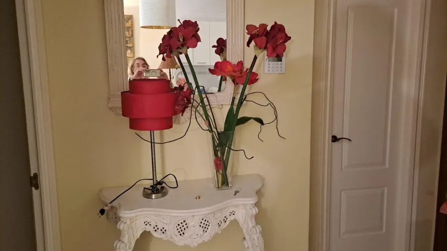 1 bedroom apartment for sale , Estepona, Spain No. 815 № 8