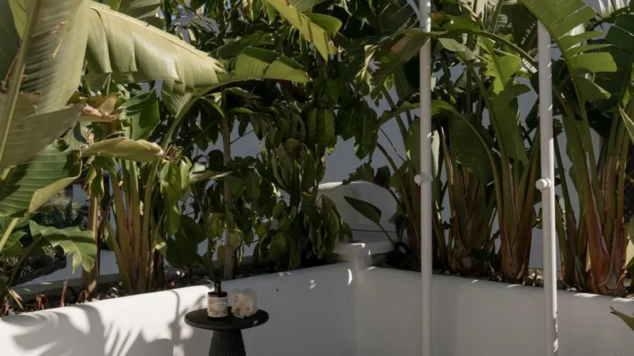 2 bedrooms penthouse for sale , Estepona, Spain No. 266 № 6