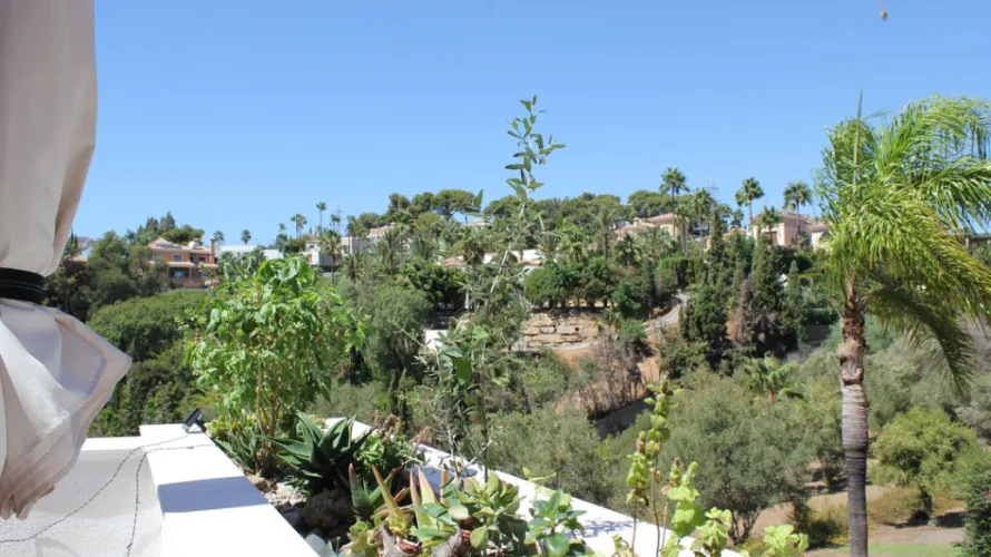 2 bedrooms penthouse for sale , Marbella, Spain No. 429 № 23