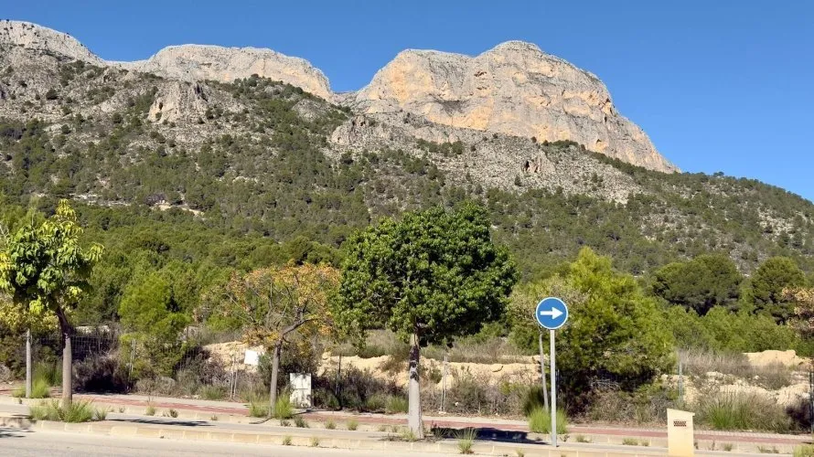 3 bedrooms apartment for sale , La Alberca, Spain No. 1529 № 5