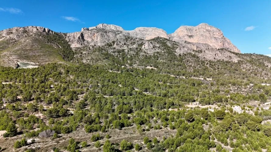 3 bedrooms apartment for sale , La Alberca, Spain No. 1529 № 22