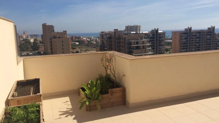4 bedrooms penthouse for sale , Alicante, Spain No. 1711 № 17