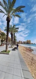 1 bedroom apartment for sale, Torrevieja, Spain No. 1660