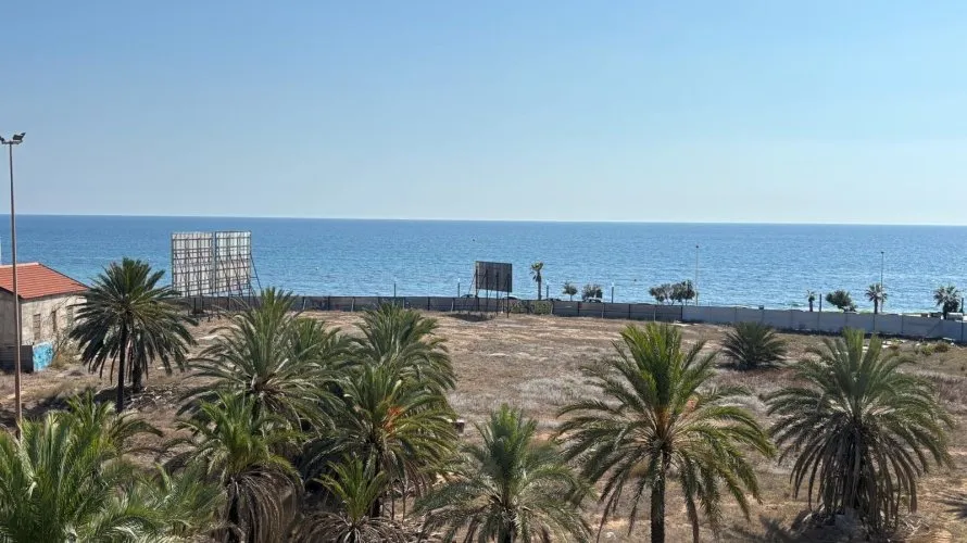 1 bedroom apartment for sale, Torrevieja, Spain No. 1143 № 20