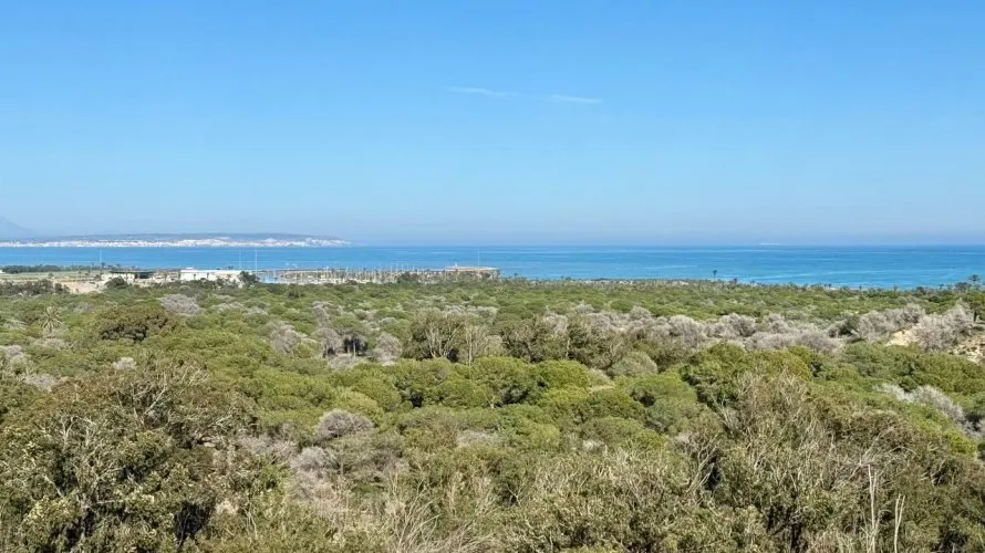 3 bedrooms apartment for sale, Guardamar del Segura, Spain No. 1618 № 5