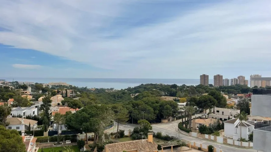 2 bedrooms apartment for sale, Dehesa De Campoamor, Spain No. 1323 № 27