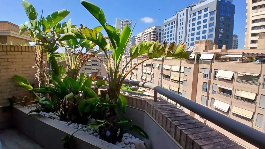 3 bedrooms penthouse for sale, Valencia, Spain No. 1488 № 15