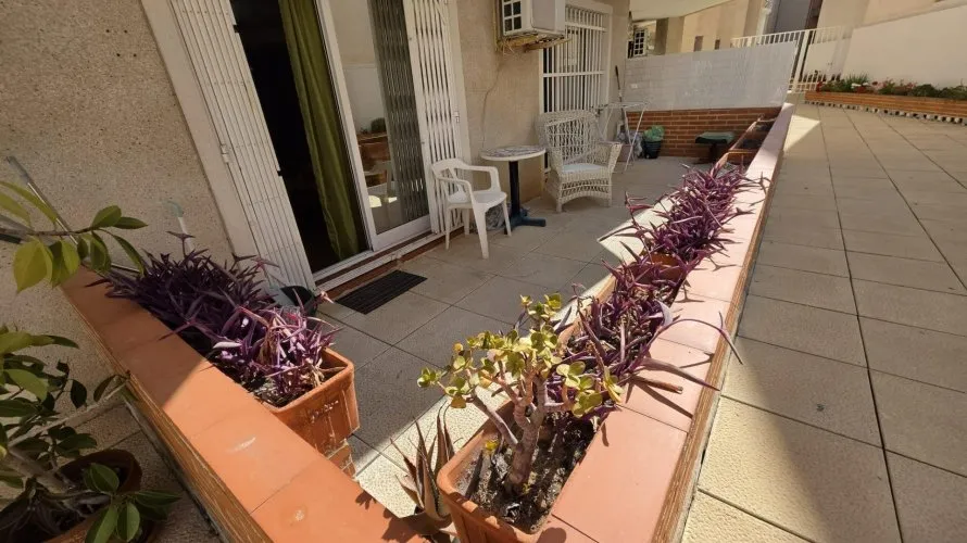 1 bedroom apartment for sale, Torrevieja, Spain No. 2354 № 22