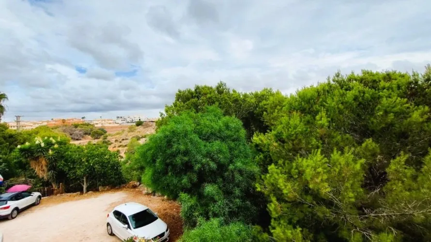 2 bedrooms apartment for sale, Playa Flamenca II, Spain No. 2301
