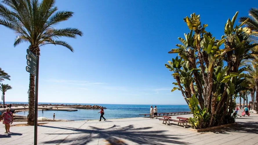 24m² apartment for sale, Torrevieja, Spain No. 2583 № 5