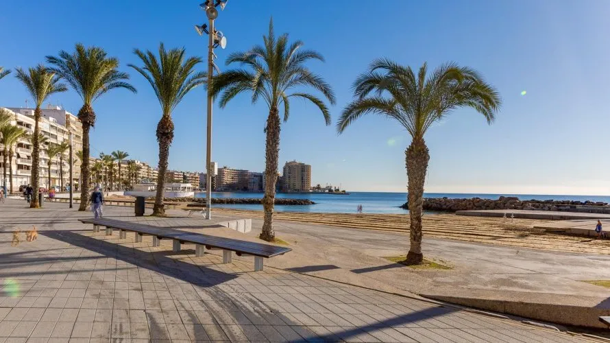 24m² apartment for sale, Torrevieja, Spain No. 2583