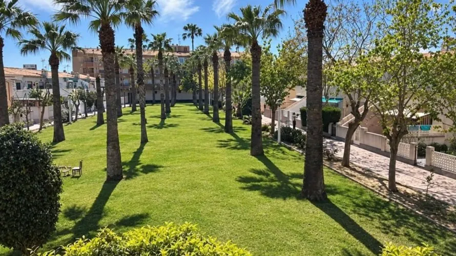 1 bedroom apartment for sale, La Regia, Spain No. 2713 № 4