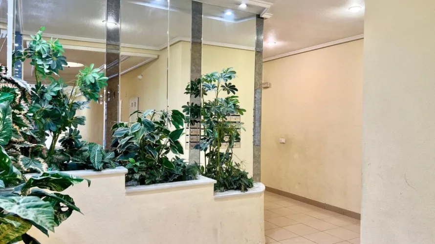 1 bedroom apartment for sale, Torrevieja, Spain No. 2706 № 26