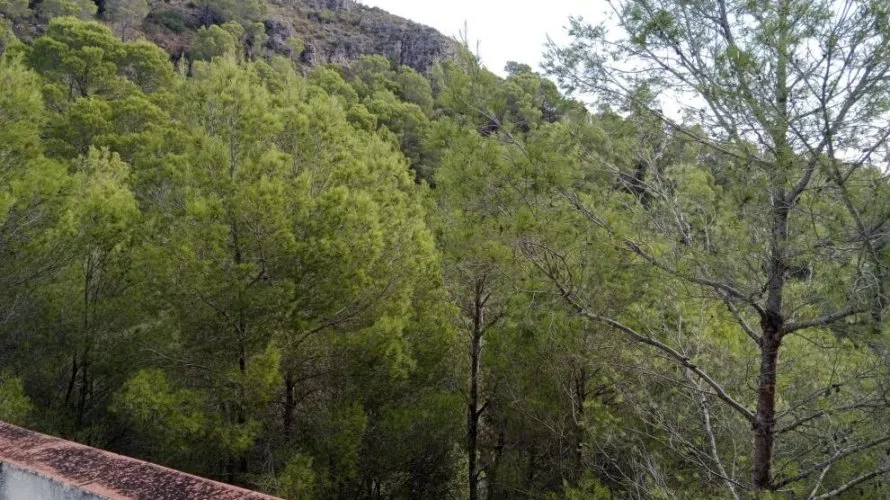 4 bedrooms apartment for sale, Almisera, Spain No. 2705 № 3